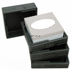 Isothermal EPP Box, For Transport & Insulation Pizza, Cake etc. 350 x 350 x 45 mm, Black, SALTO Thermo box